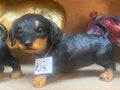 Daschund