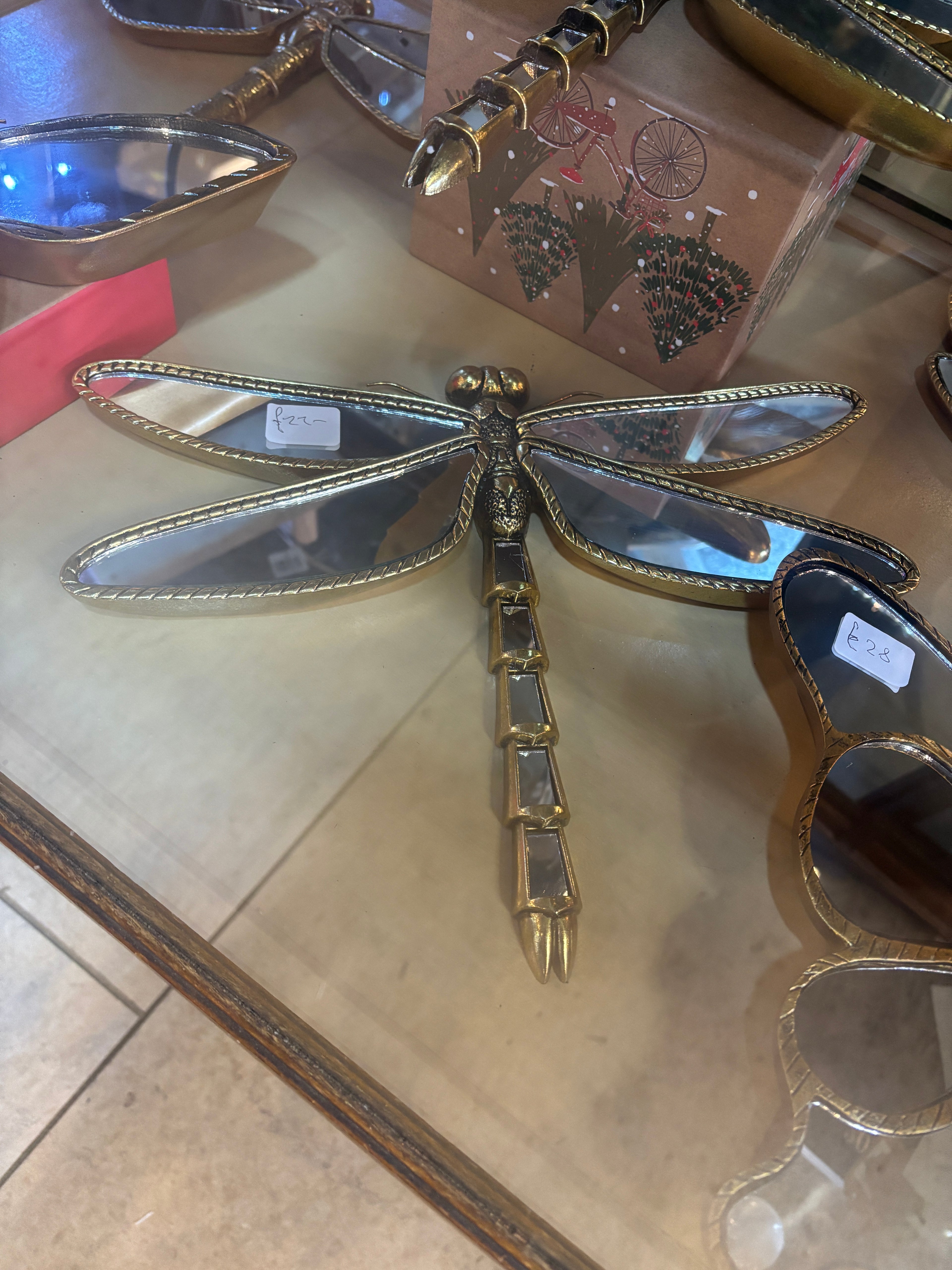 Dragonfly Mirror