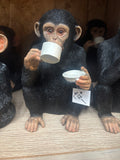 Drinking Monkey