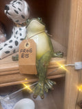 Frog on a Shelf
