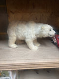 Furry Polar Bear