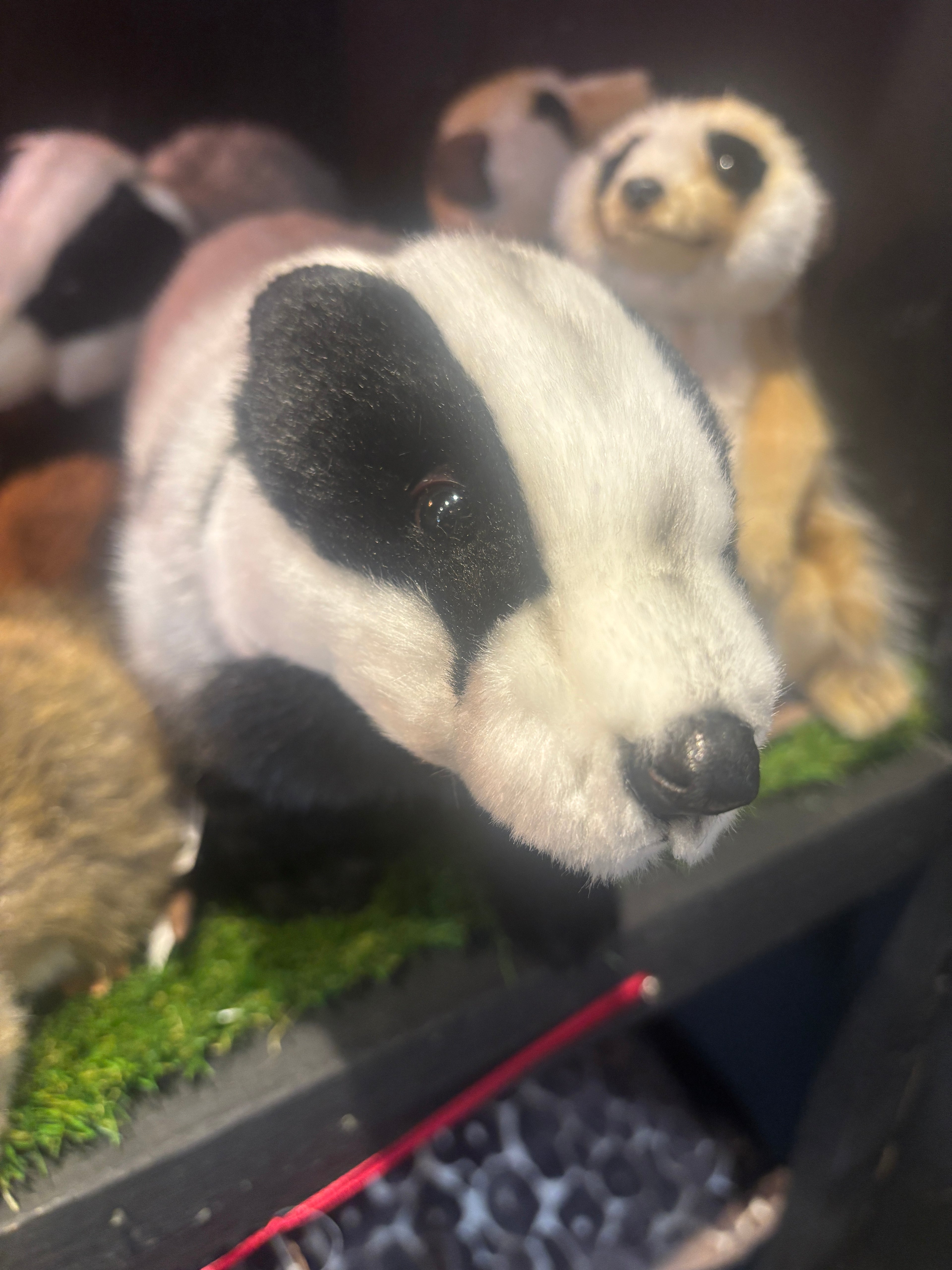 Hansa Badger Plush