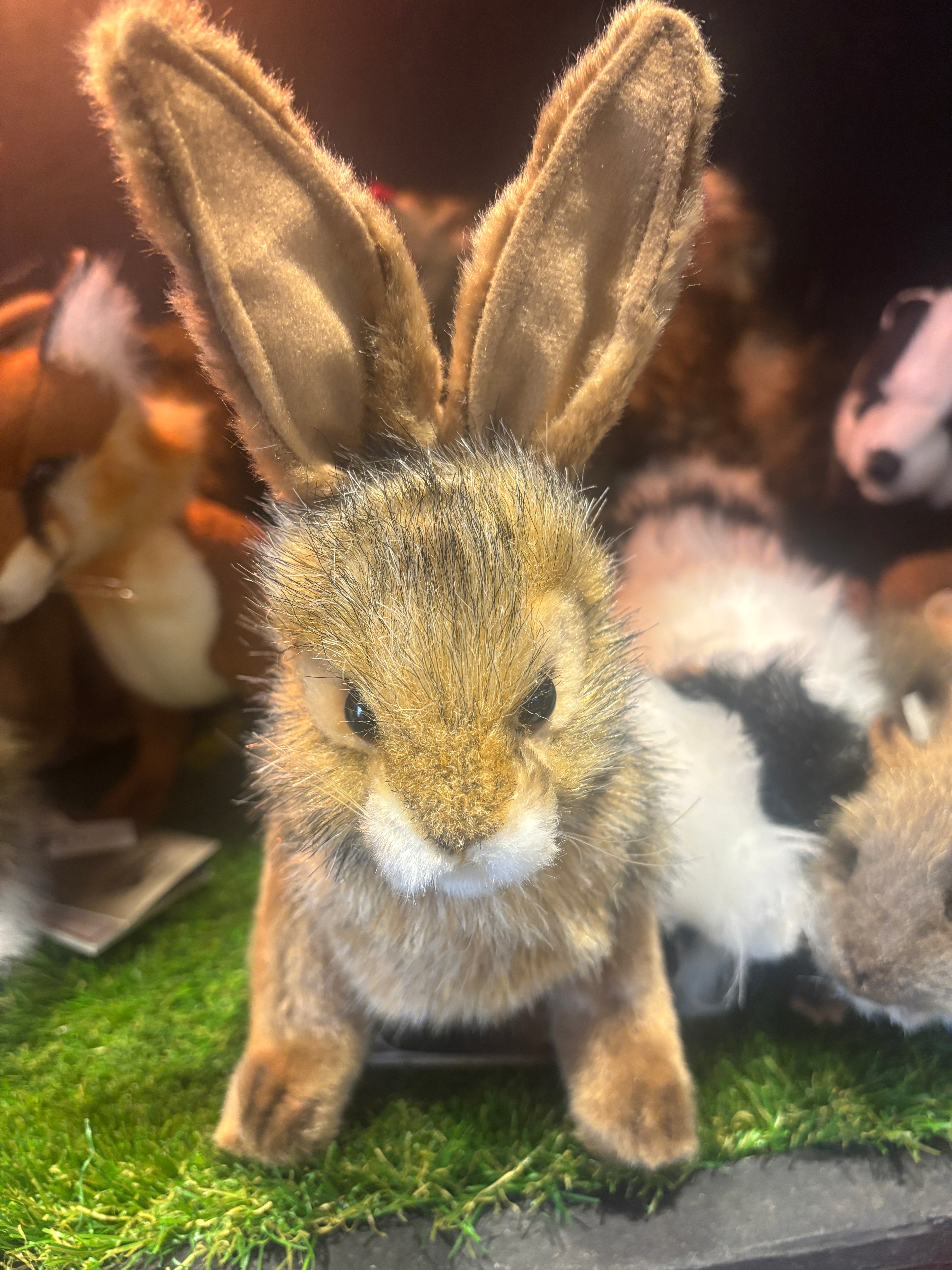Hansa Hare Plush