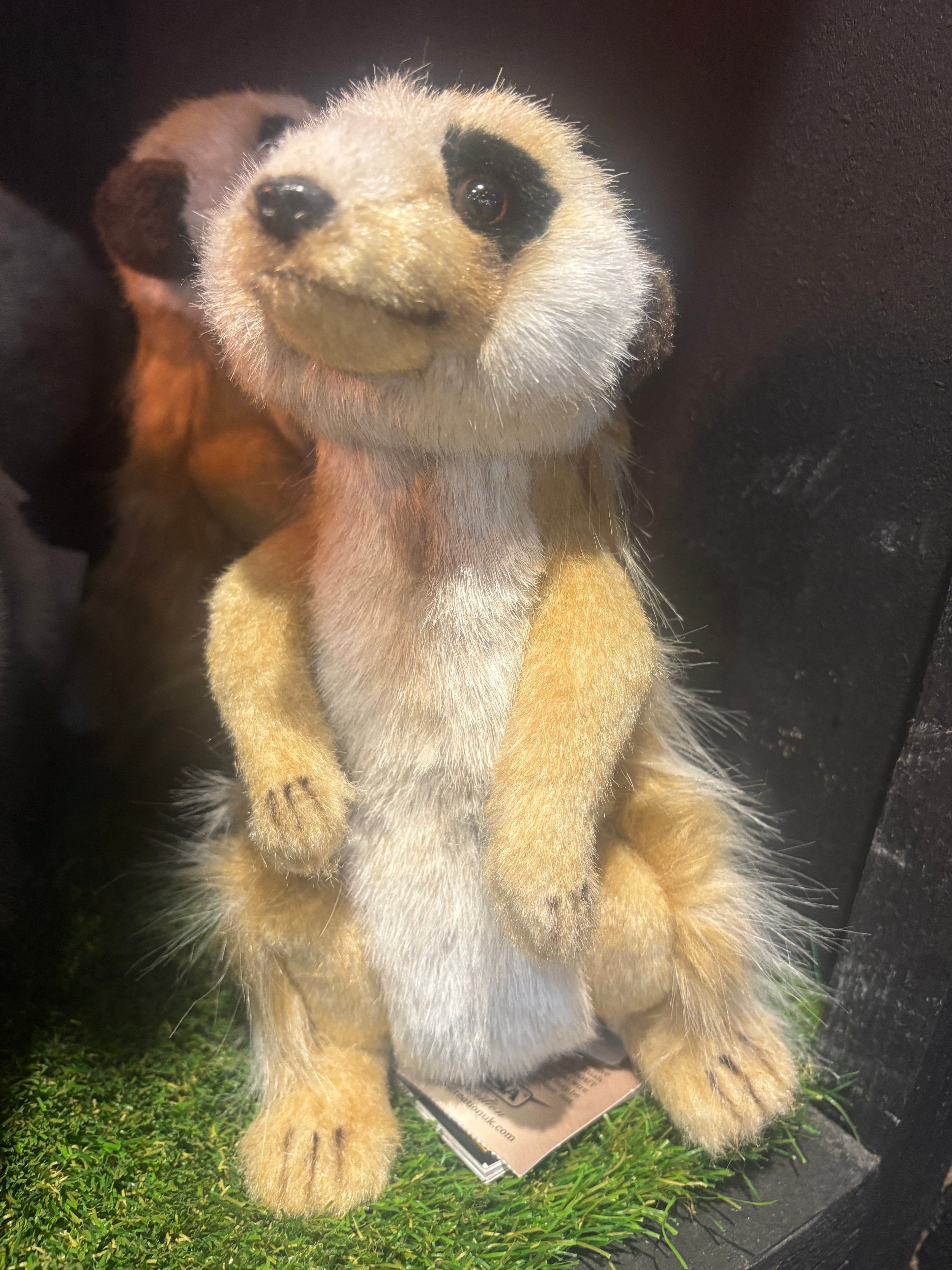 Hansa Meerkat Plush