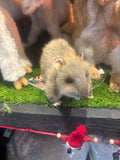 Hansa Rat Plush