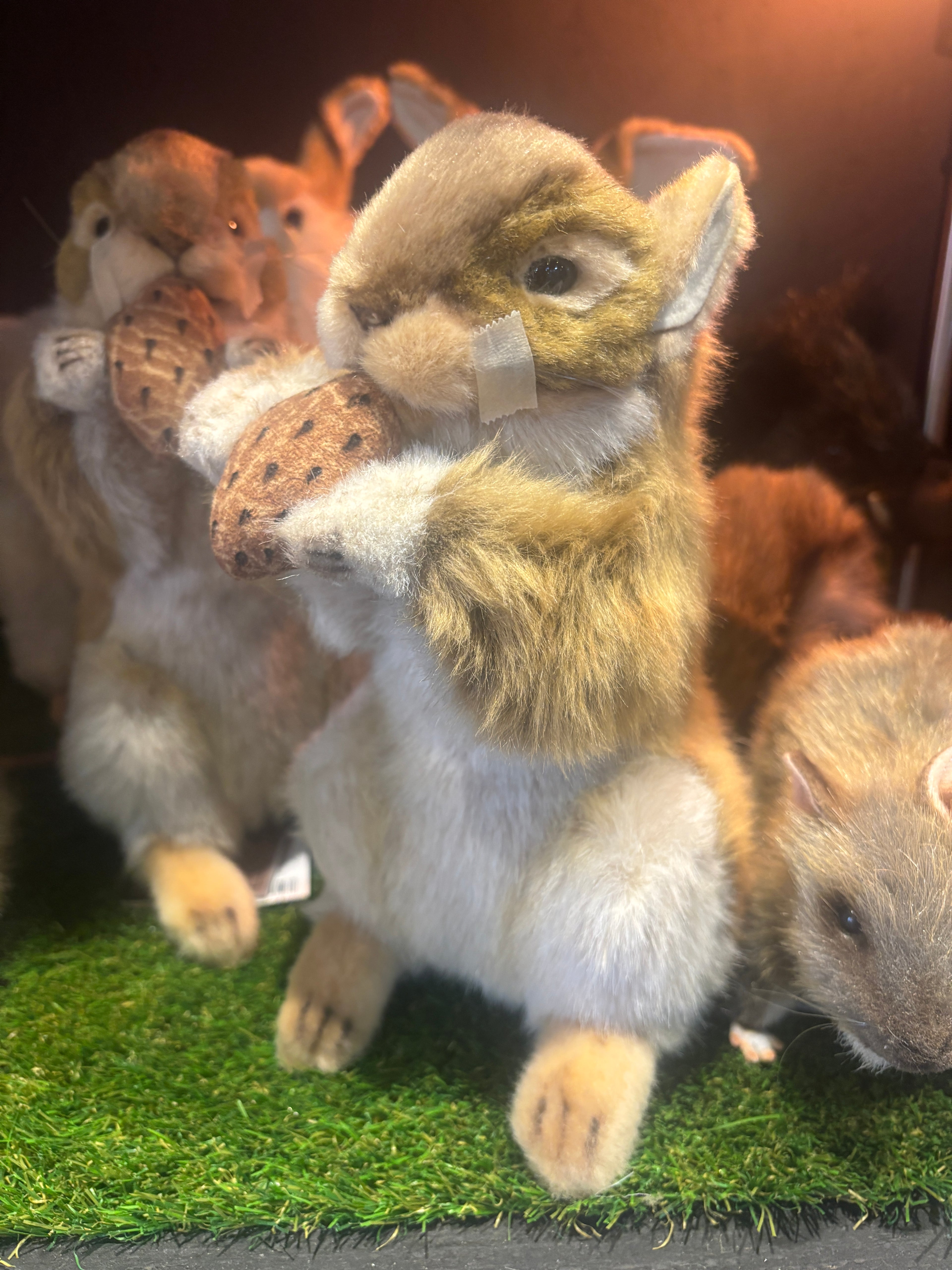 Hansa Squirrel With Nut