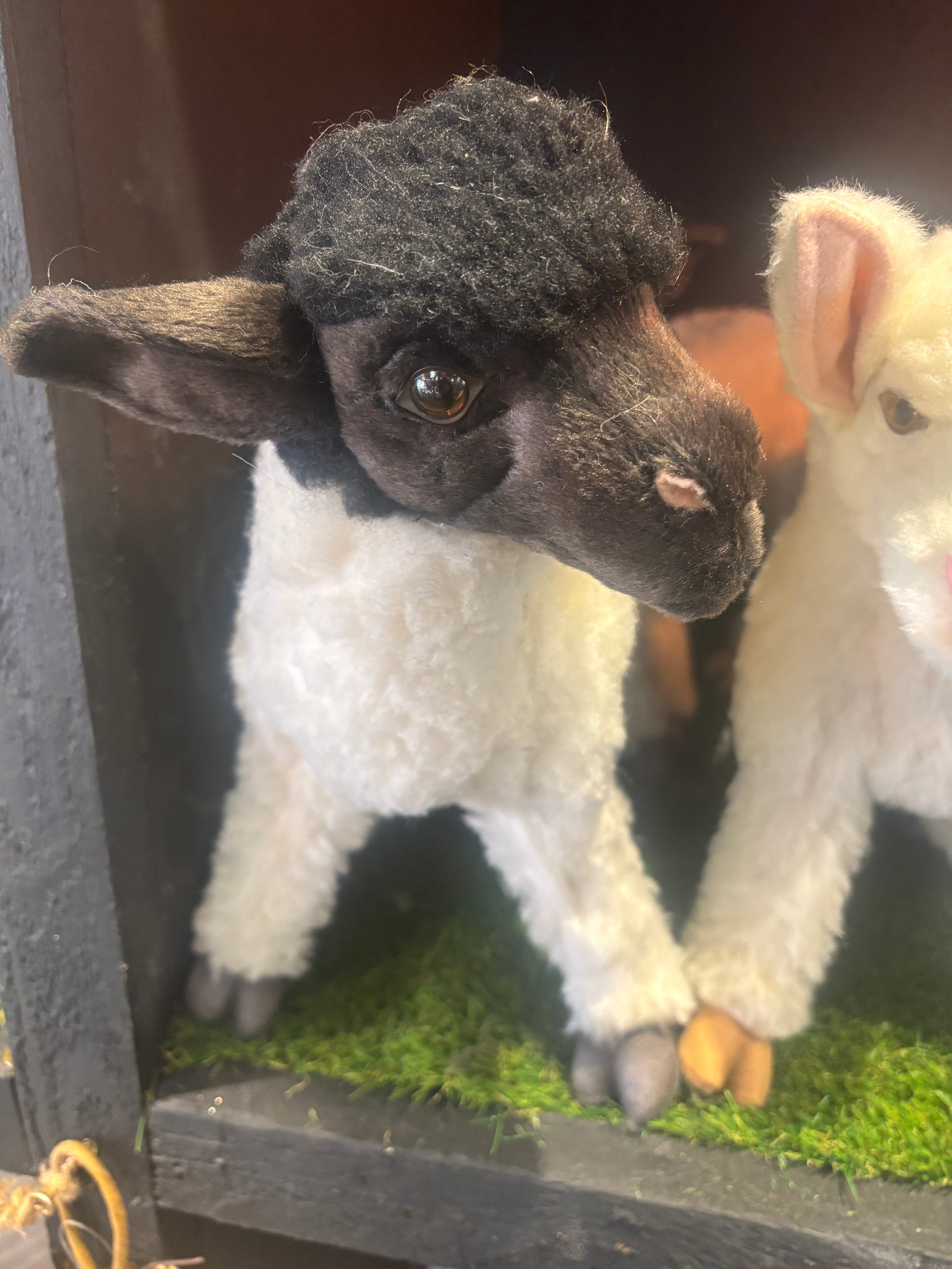 Hansa Suffolk Lamb Plush