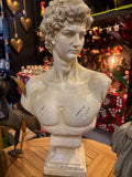 Michelangelo's David Bust