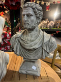 Roman Emperor Antoninus Pius Bust