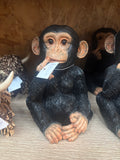 Thinking Monkey